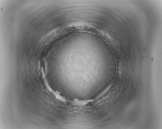 X0000087581062200705112232