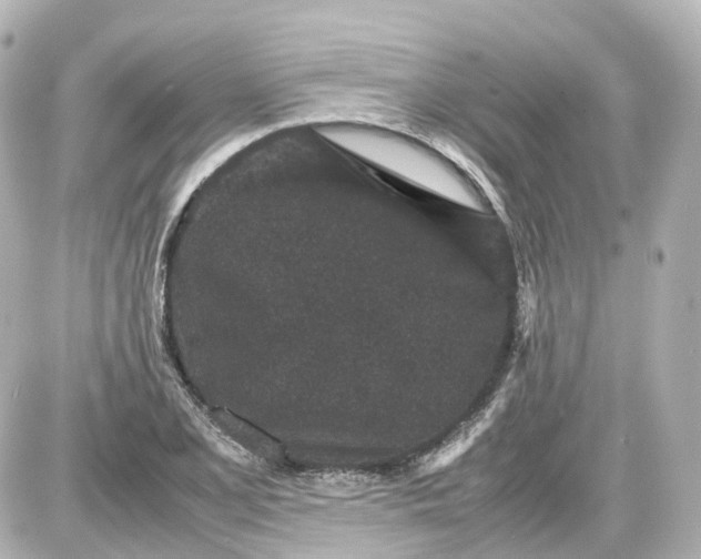 X0000087581077200705112232