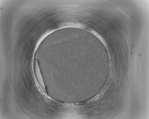 X0000087581104200705112231