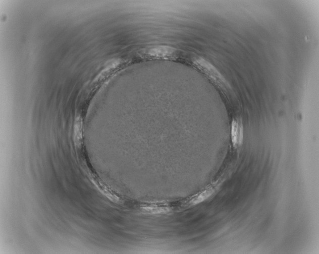 X0000087581107200705112230