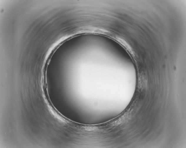 X0000087581136200705112231