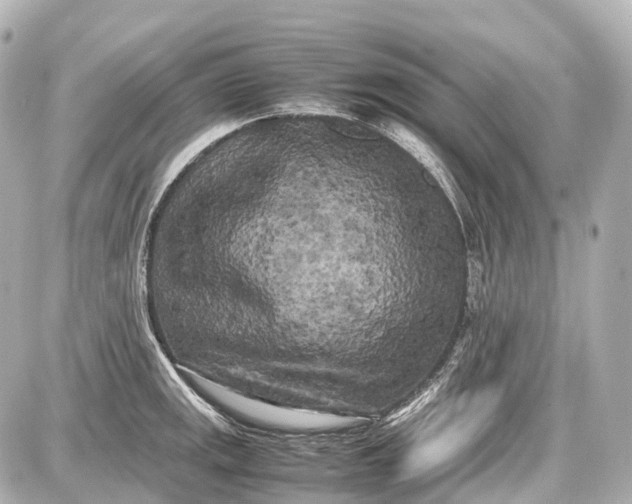 X0000087581141200705112231