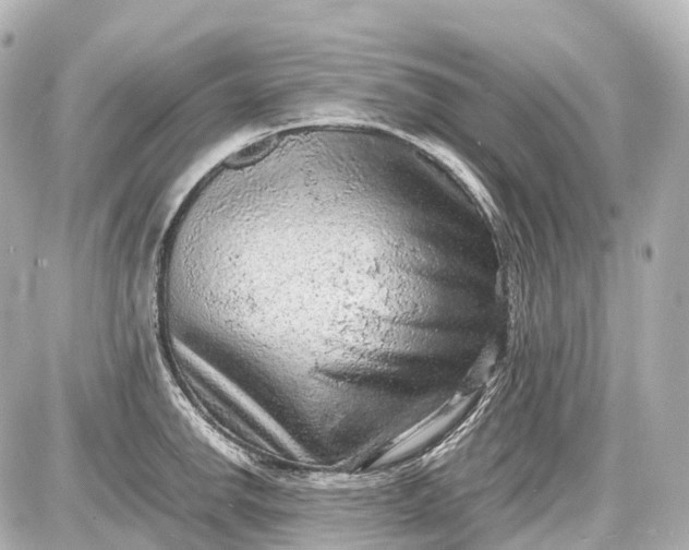 X0000087581142200705112231