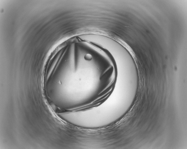 X0000087581144200705112231