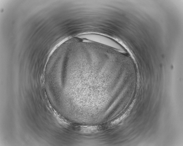 X0000087581145200705112231