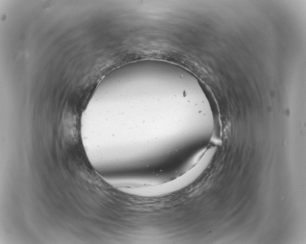 X0000087581156200705112230