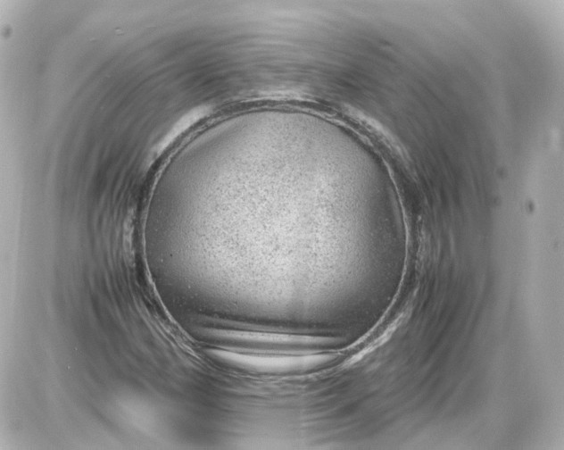 X0000087581162200705112230