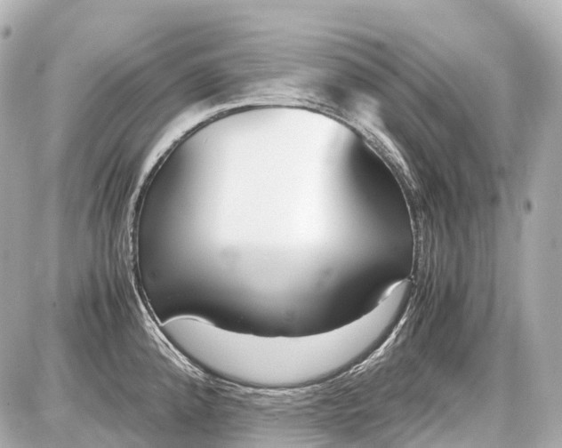 X0000087581192200705112230