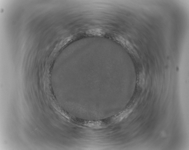 X0000087581201200705112229