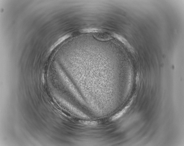 X0000087581209200705112229