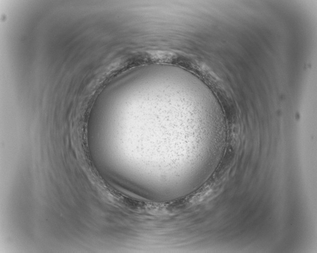 X0000087581249200705112229