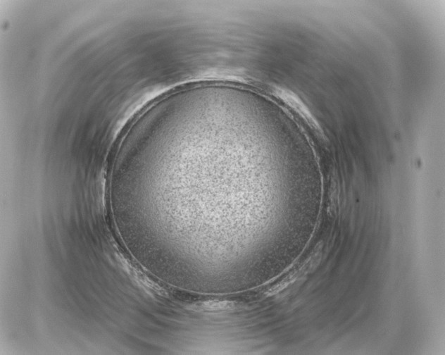 X0000087581268200705112228