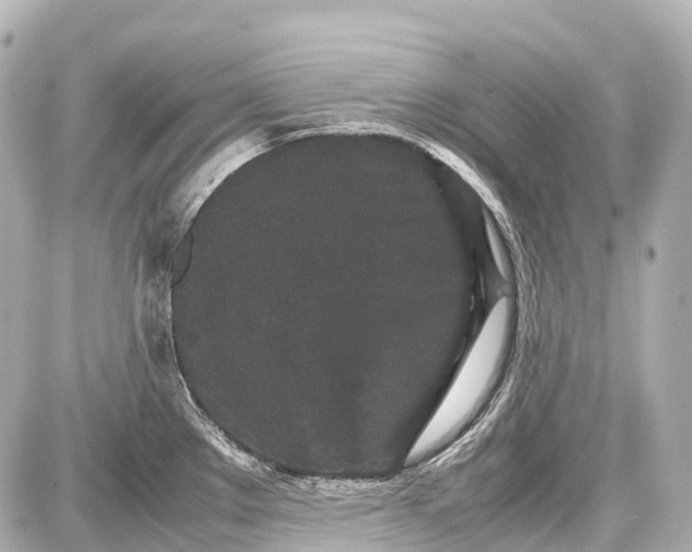 X0000087581289200705112228