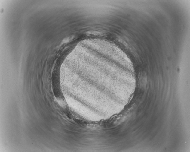 X0000087581297200705112227