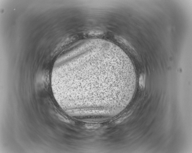 X0000087581299200705112227