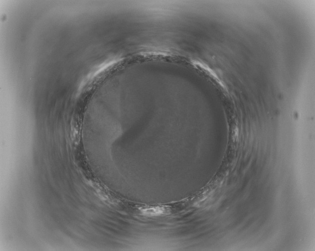 X0000087581303200705112227