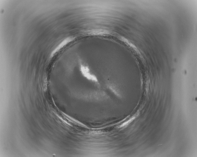 X0000087581306200705112227