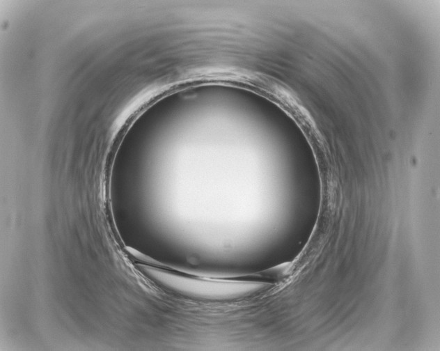 X0000087581328200705112228