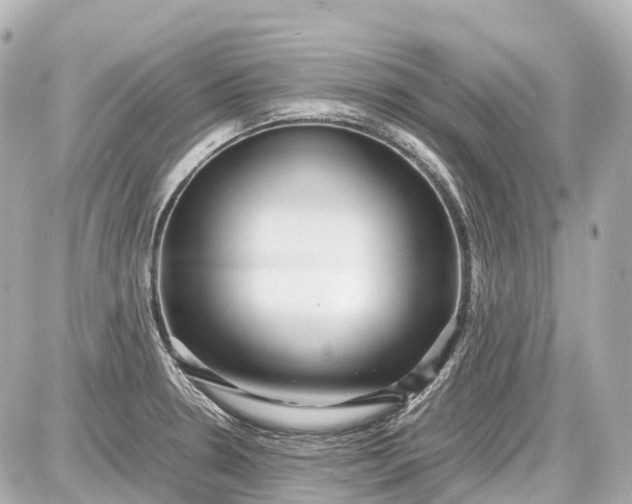 X0000087581330200705112228