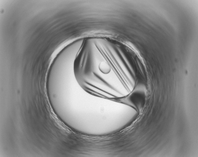 X0000087581336200705112228