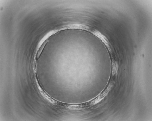 X0000087581342200705112228
