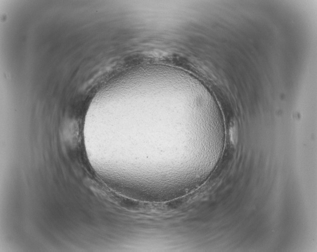 X0000087581347200705112227