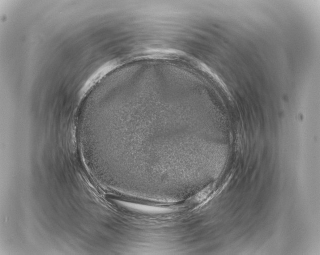 X0000087581362200705112227