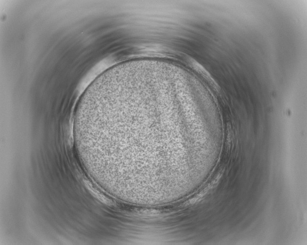 X0000087581370200705112227