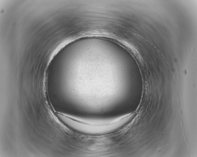 X0000087581374200705112227