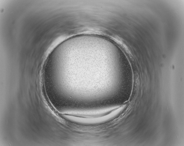 X0000087581375200705112227