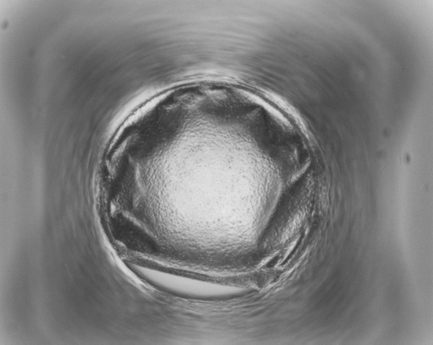 X0000087581383200705112227