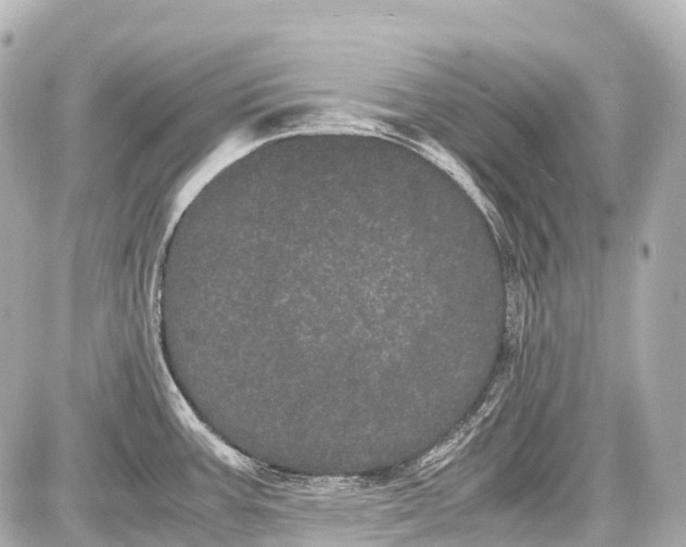 X0000087581387200705112227