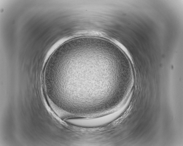 X0000087581389200705112226