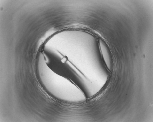 X0000087581410200705112226