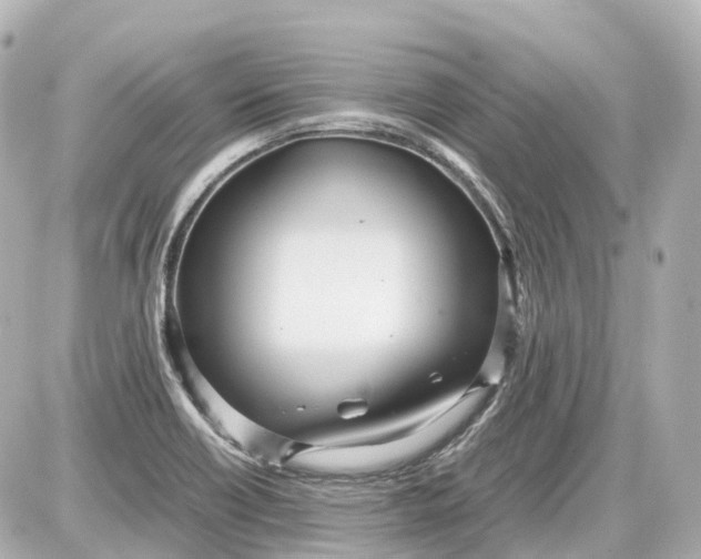 X0000087581418200705112226