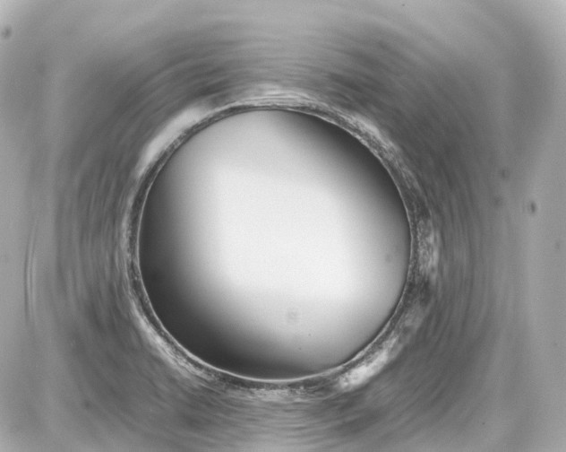 X0000087581422200705112226