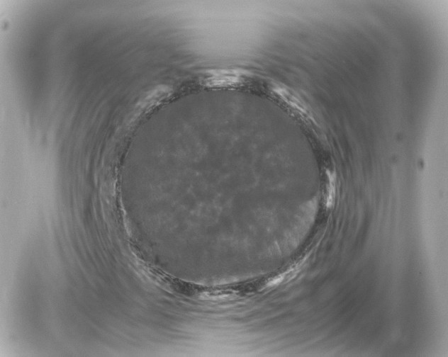 X0000087581441200705112226