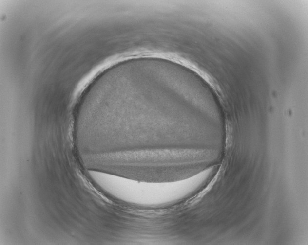 X0000087581502200705112224