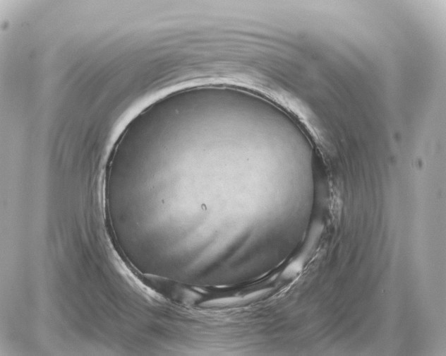 X0000087581516200705112225
