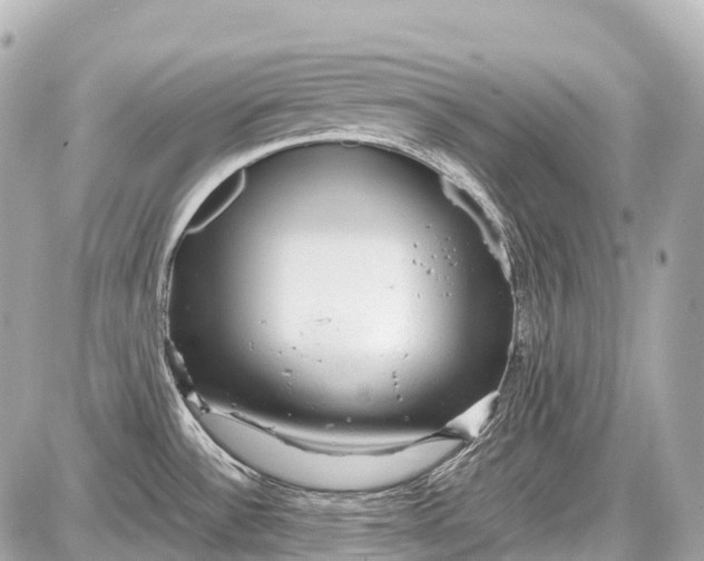 X0000087581532200705112225