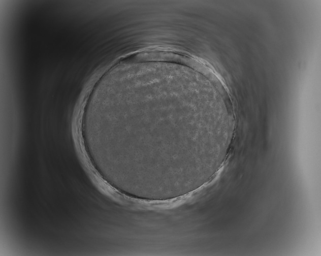 X0000087580001200705181209