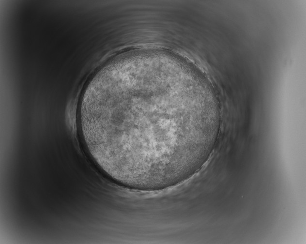 X0000087580002200705181209