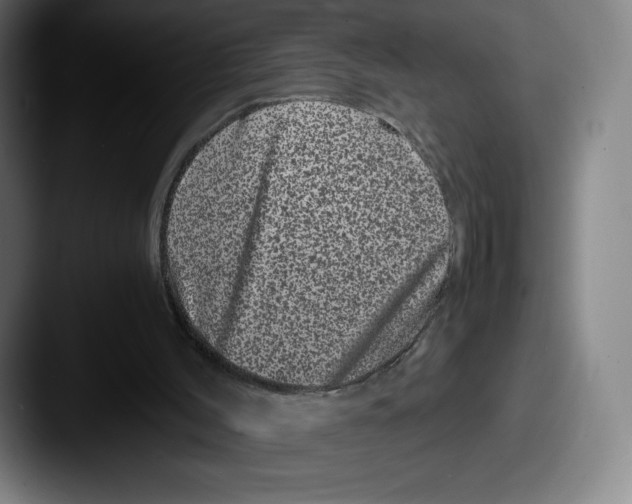 X0000087580004200705181209