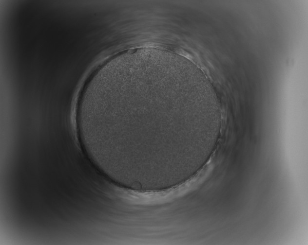X0000087580006200705181209
