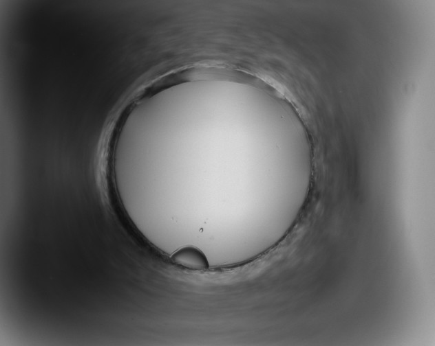 X0000087580007200705181209