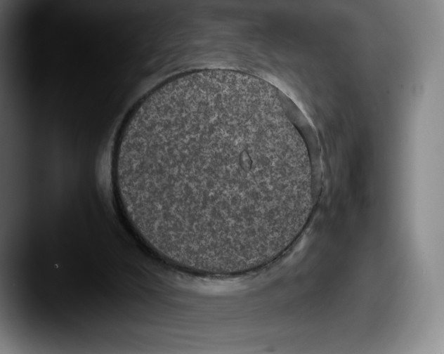 X0000087580008200705181209