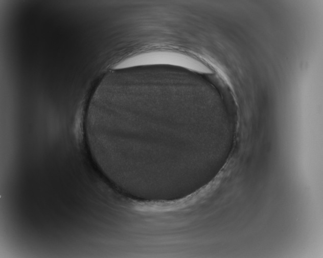 X0000087580009200705181209