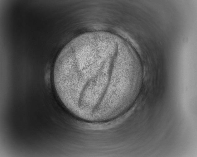 X0000087580010200705181209