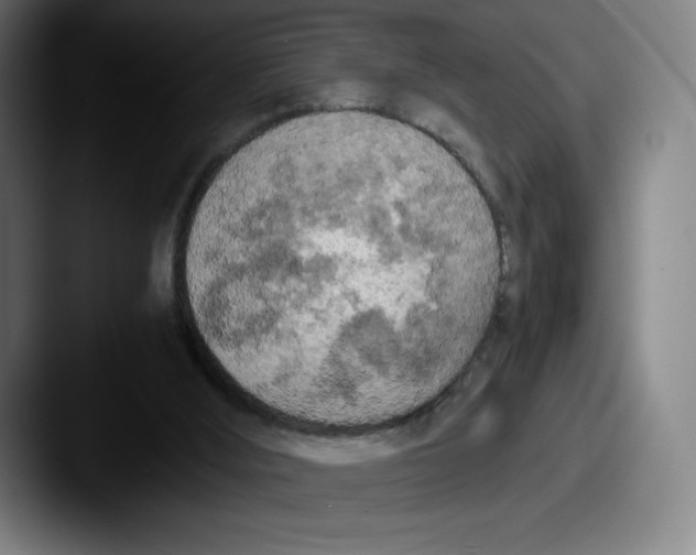 X0000087580012200705181209
