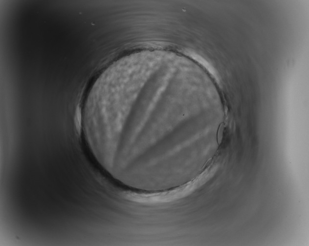 X0000087580013200705181209